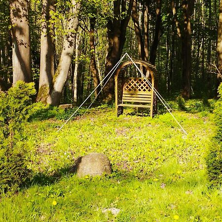 Lesna Polana Villa Stare Jablonki Bagian luar foto