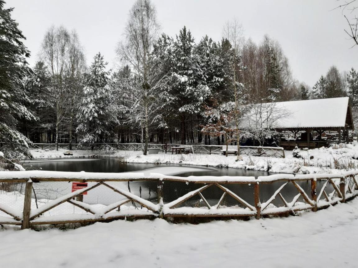 Lesna Polana Villa Stare Jablonki Bagian luar foto